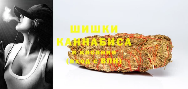 стаф Магас