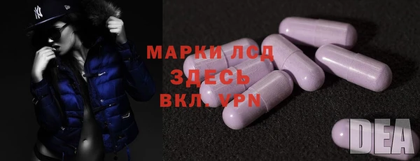 гидра Майский