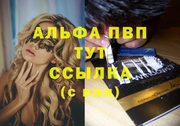 стаф Магас