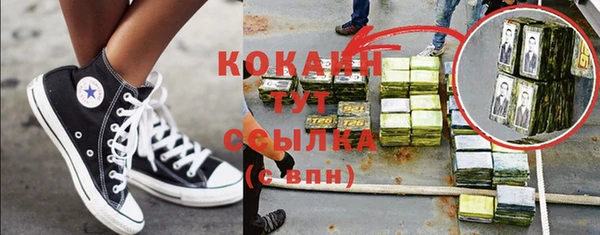 гидра Мегион
