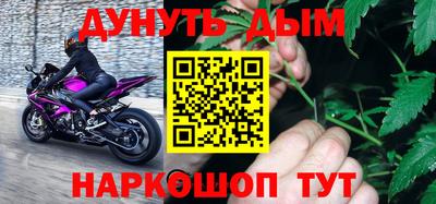 индика Бийск