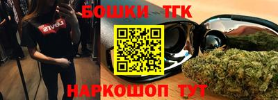 индика Бийск