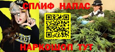 индика Бийск