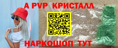 индика Бийск
