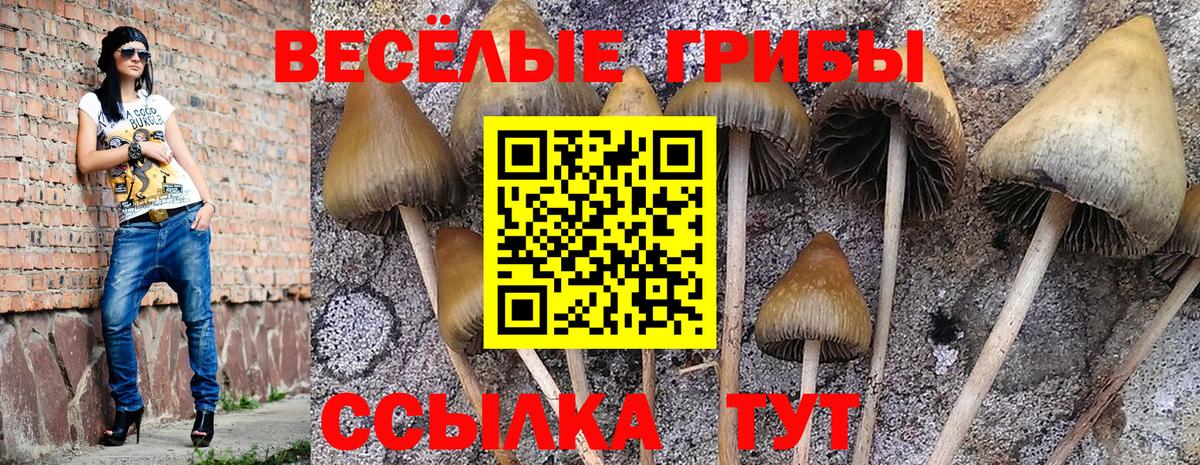 Галлюциногенные грибы GOLDEN TEACHER  Вход с VPN  Вичуга 