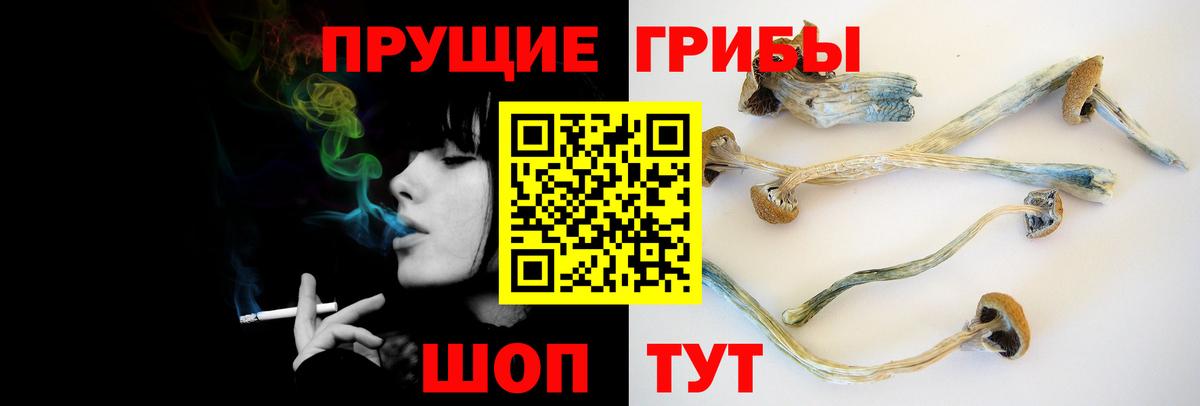 Галлюциногенные грибы ЛСД  Галлюциногенные грибы Psilocybe  Вичуга 
