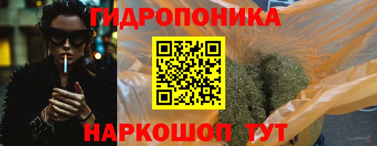 Бошки марихуана план Вичуга